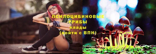 экстази Богородск