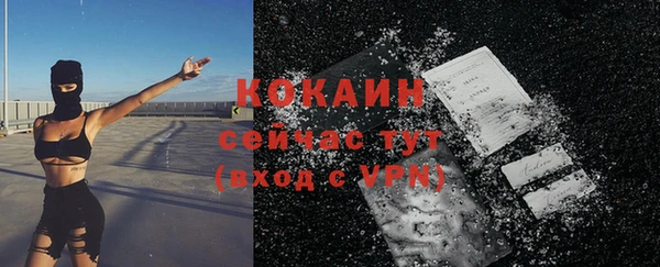 сатива Богданович