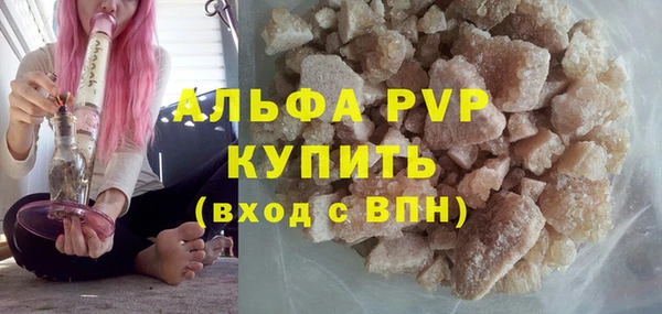 сатива Богданович