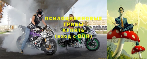 амф Богородицк