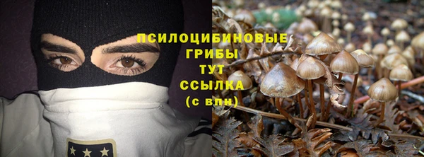 амф Богородицк
