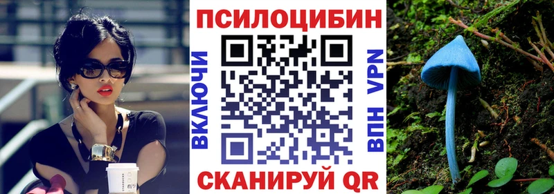 Псилоцибиновые грибы Psilocybine cubensis  продажа наркотиков  blacksprut зеркало  Нижневартовск 